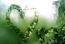 2026世界杯竞猜-国际足联主席：特朗普称欢迎伊朗参加2026年世界杯足球赛