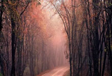 2026世界杯竞猜-引擎轰鸣 激情龙湖 F1H2O郑州大奖赛燃情启幕