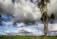 2026世界杯竞猜-引擎轰鸣 激情龙湖 F1H2O郑州大奖赛燃情启幕